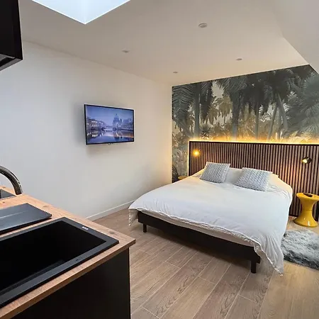 Apartament Bright Freshly Renovated Studio Schiltigheim